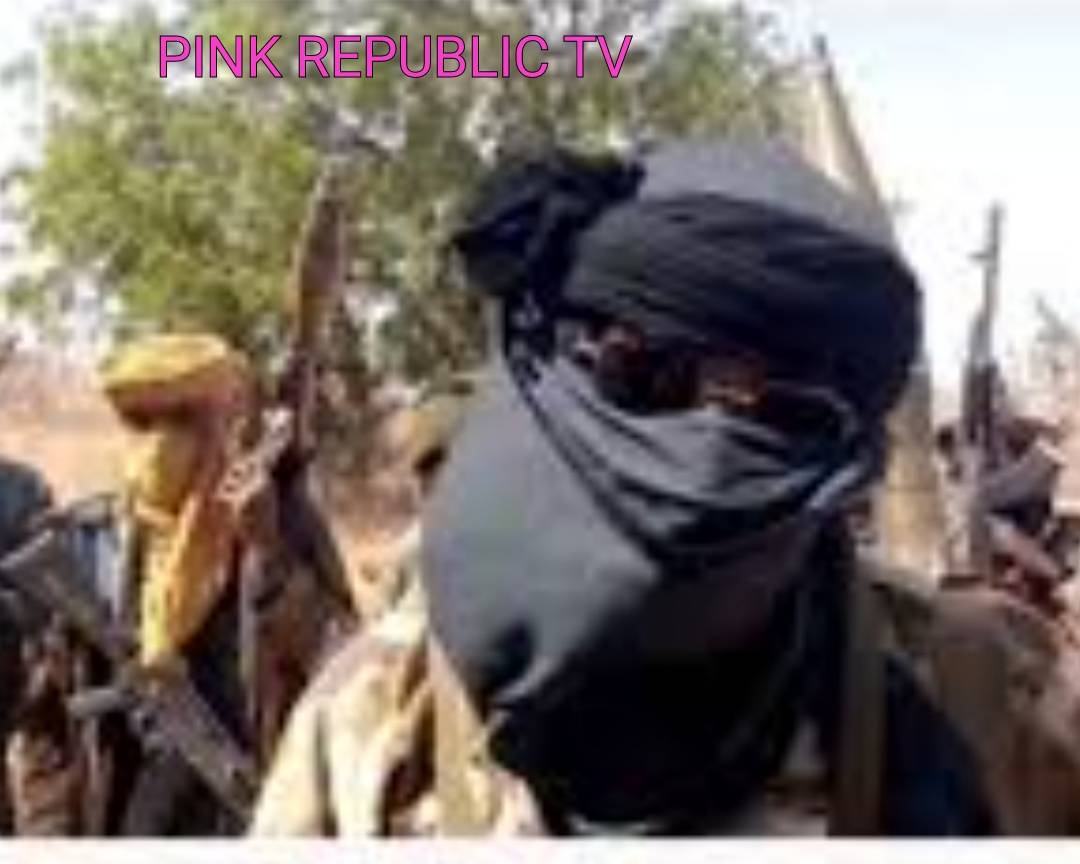 https://pinkrepublic12.blogspot.com/2026/04/bandits-kill-2-abducted-women-for.html?m=1