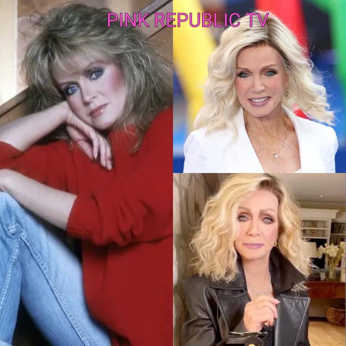 https://pinkrepublic12.blogspot.com/2026/04/donna-mills-85-fires-back-at-critic.html?m=1