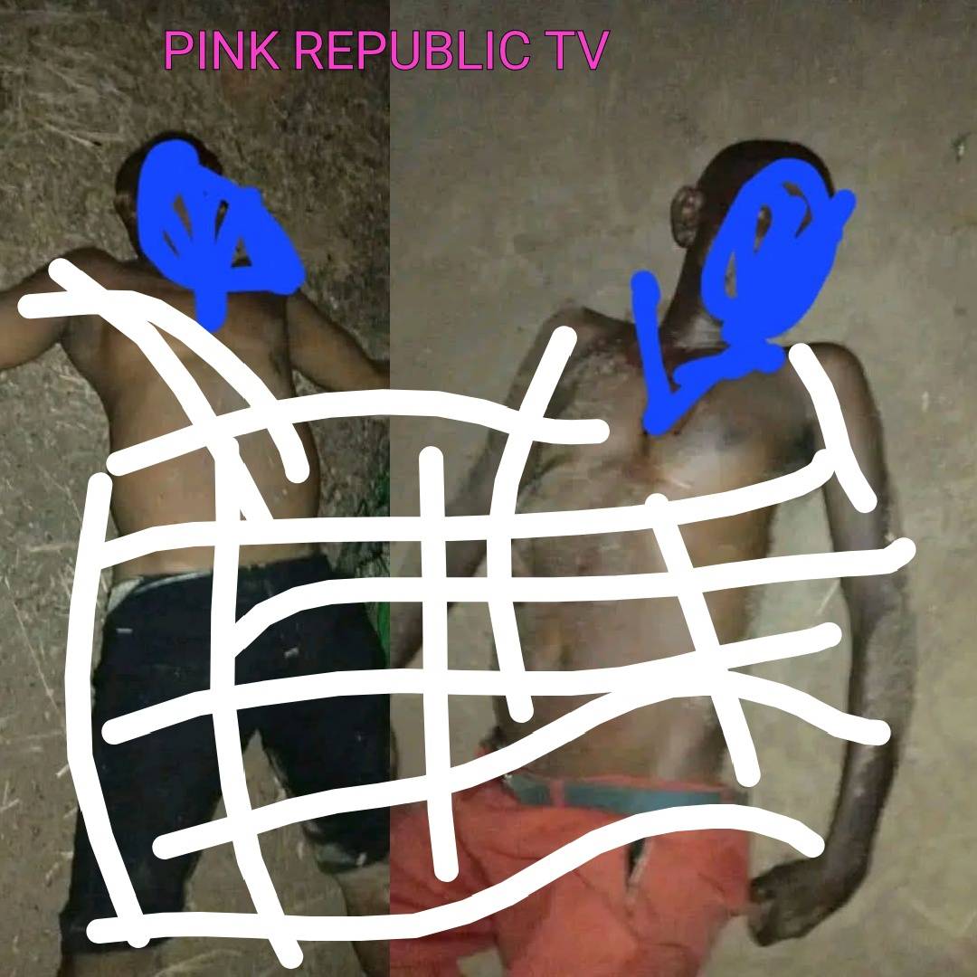 https://pinkrepublic12.blogspot.com/2026/04/3-feared-dead-as-gunmen-invade-amadu.html?m=1