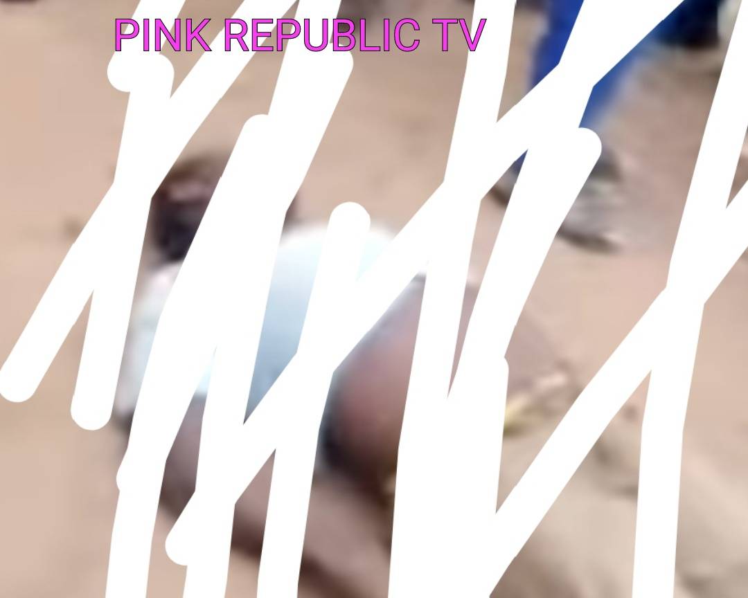 https://pinkrepublic12.blogspot.com/2026/04/benue-tragedy-in-kwande-as-displaced.html?m=1