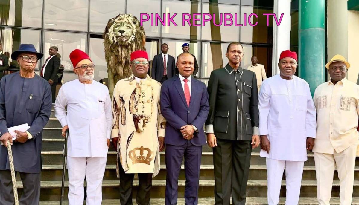 https://pinkrepublic12.blogspot.com/2026/04/south-east-ex-governors-endorse-tinubu.html?m=1