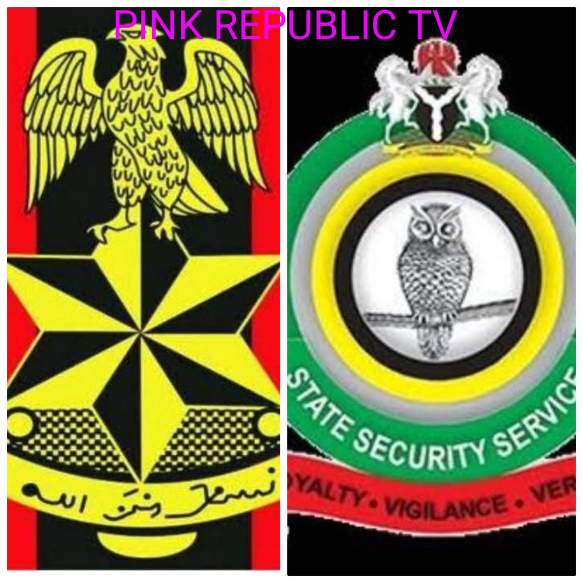https://pinkrepublic12.blogspot.com/2026/04/joint-troops-foil-bandits-attacks.html?m=1