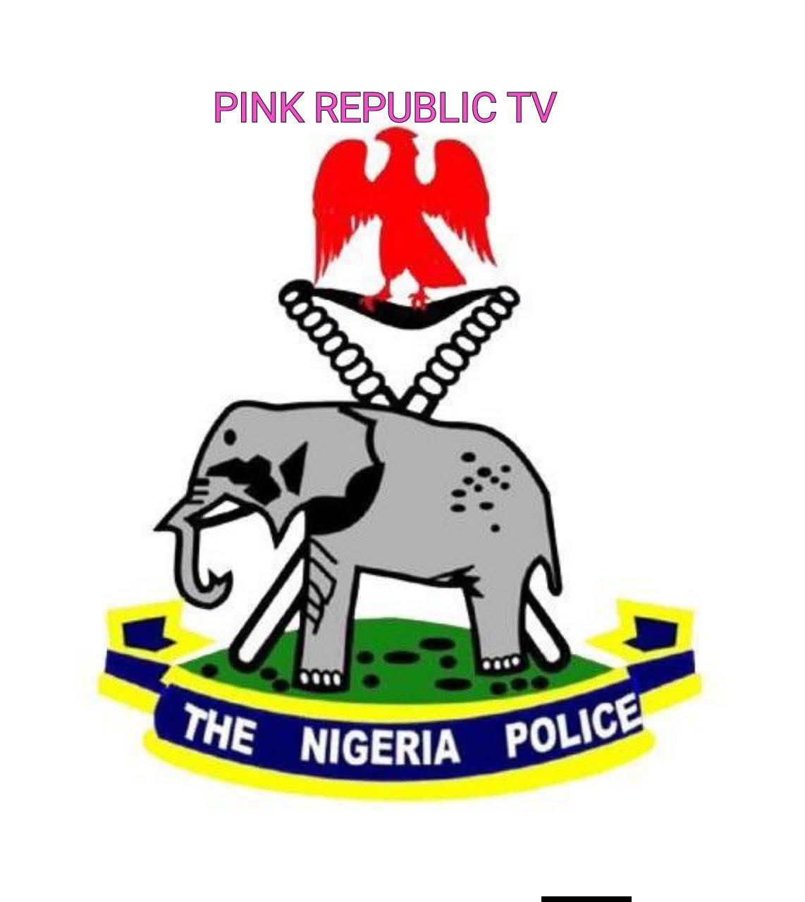 https://pinkrepublic12.blogspot.com/2026/04/nigeria-police-force-debunks-false.html?m=1