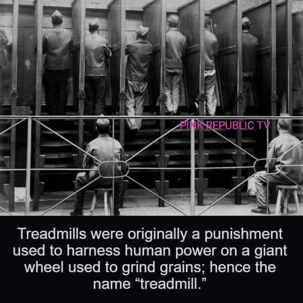 Did you know?
