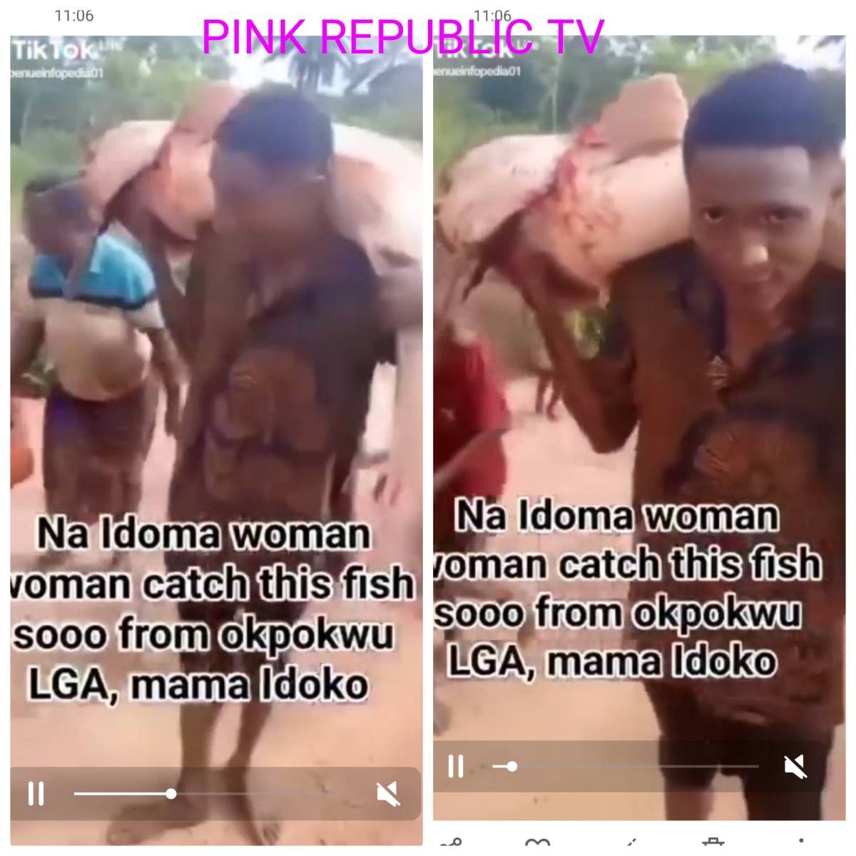 https://pinkrepublic12.blogspot.com/2026/04/benue-woman-battles-giant-catfish.html?m=1