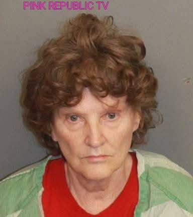 https://pinkrepublic12.blogspot.com/2026/04/an-81-year-old-alabama-woman-robbed.html?m=1