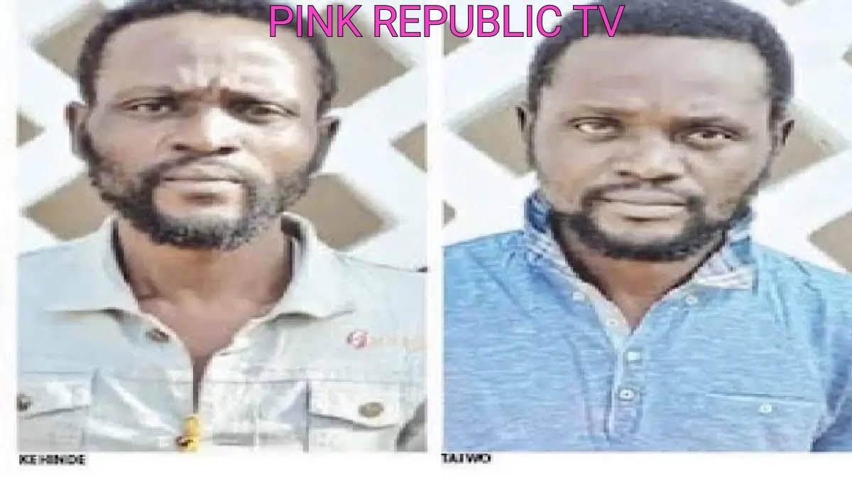 https://pinkrepublic12.blogspot.com/2026/04/twins-two-others-jailed-14-years-for.html?m=1