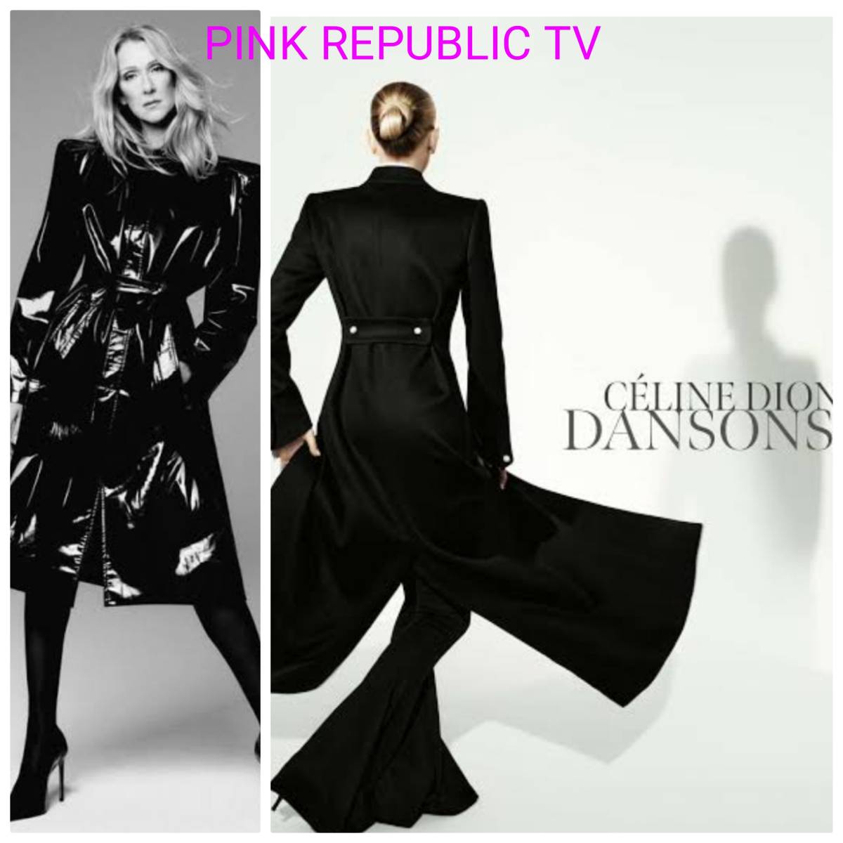 https://pinkrepublic12.blogspot.com/2026/04/celine-dion-released-new-song-dansons.html?m=1