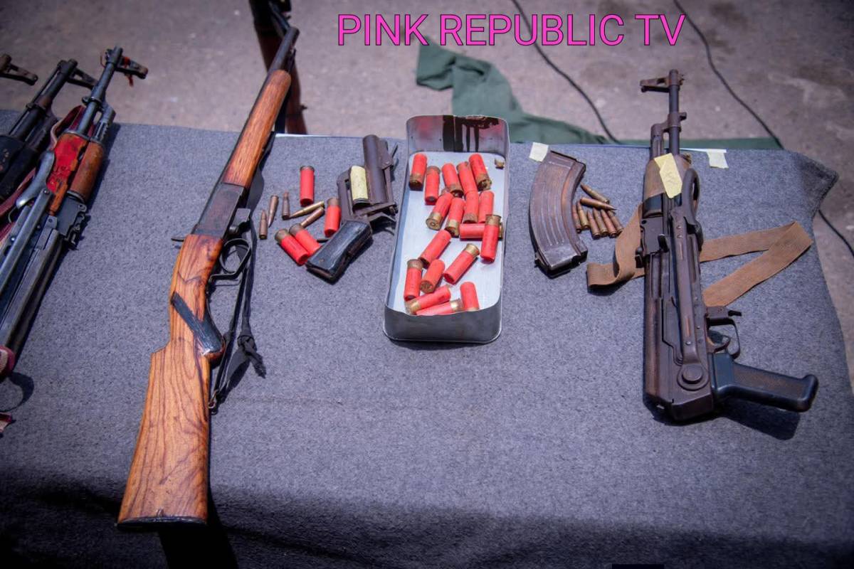 https://pinkrepublic12.blogspot.com/2026/04/npf-arrests-four-banditry-suspects.html?m=1
