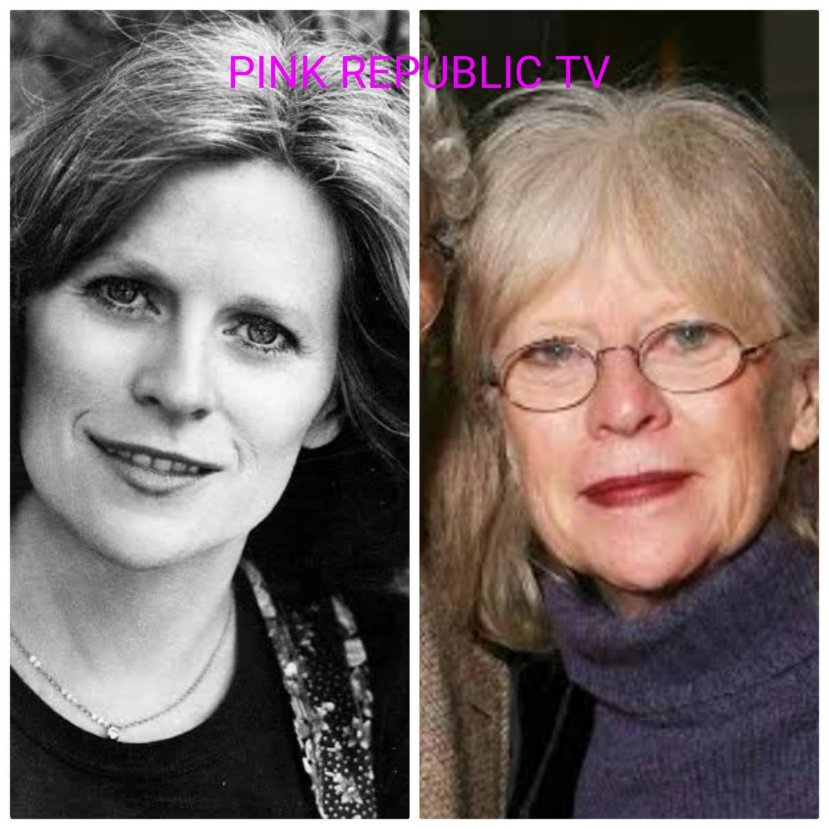 https://pinkrepublic12.blogspot.com/2026/04/mariclare-costello-actress-from-waltons.html?m=1