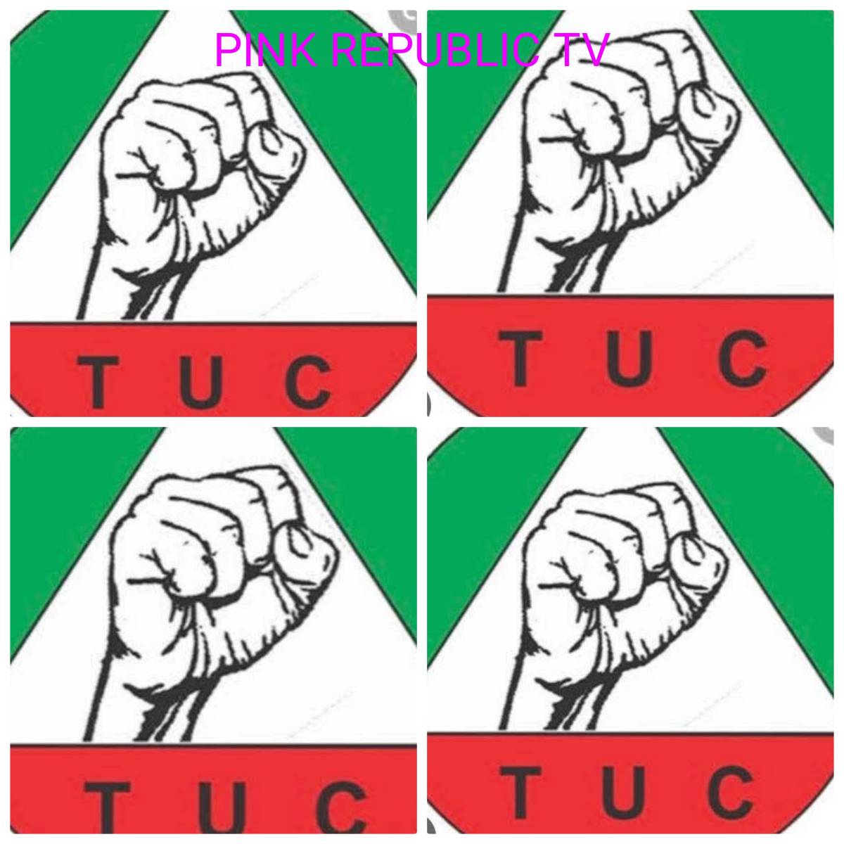 https://pinkrepublic12.blogspot.com/2026/04/workers-welfare-tuc-hails-government.html?m=1