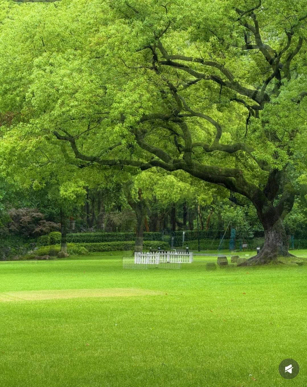 Nature natures