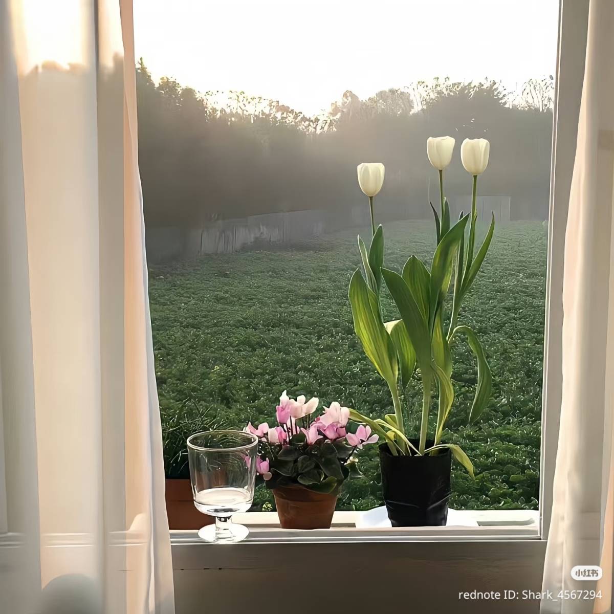 Nature, light and space