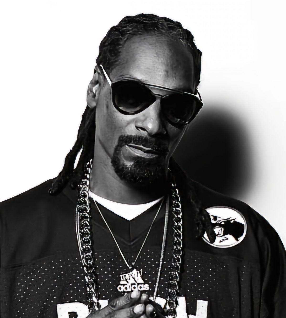 In 2021 Snoop Dogg bought this NFT for $7M ( 1600 ETH )
TODAY, its worth $60,000