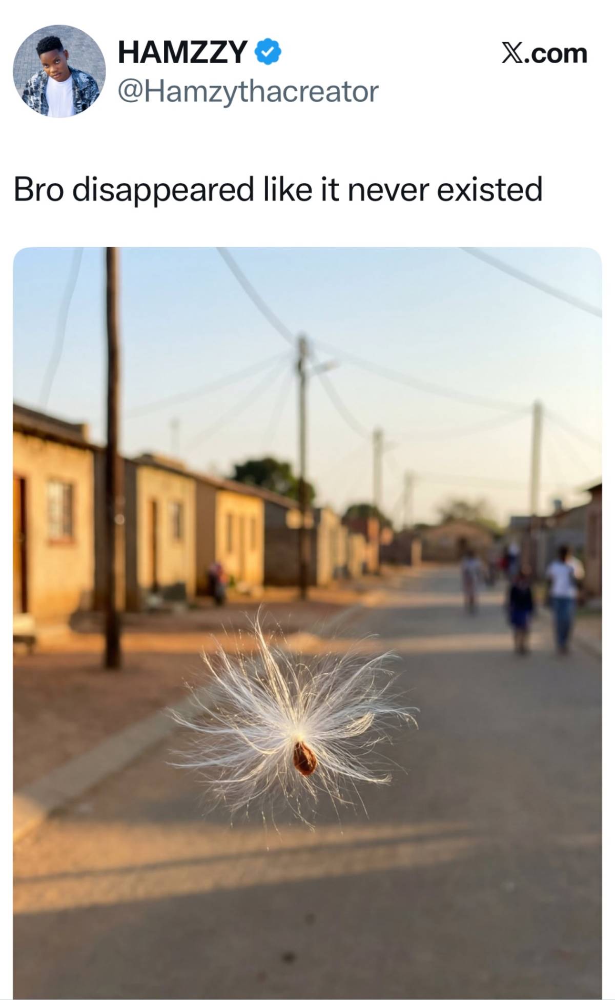 Where did they disappear to?
