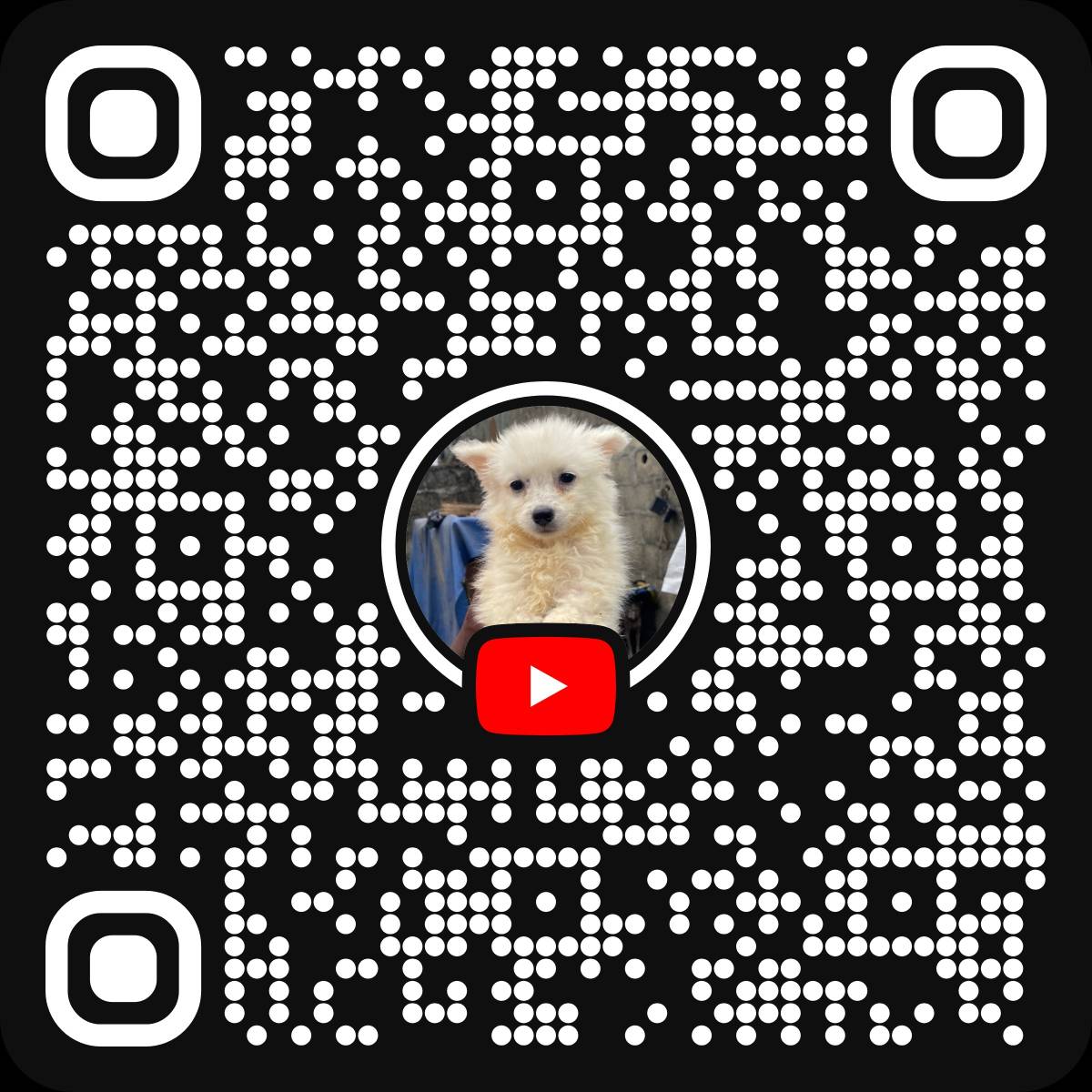 Good morning lekeelekee,
Dog walks, tips, and real dog-life moments from Nigeria ๐ณ๐ฌ
Subscribe & en...