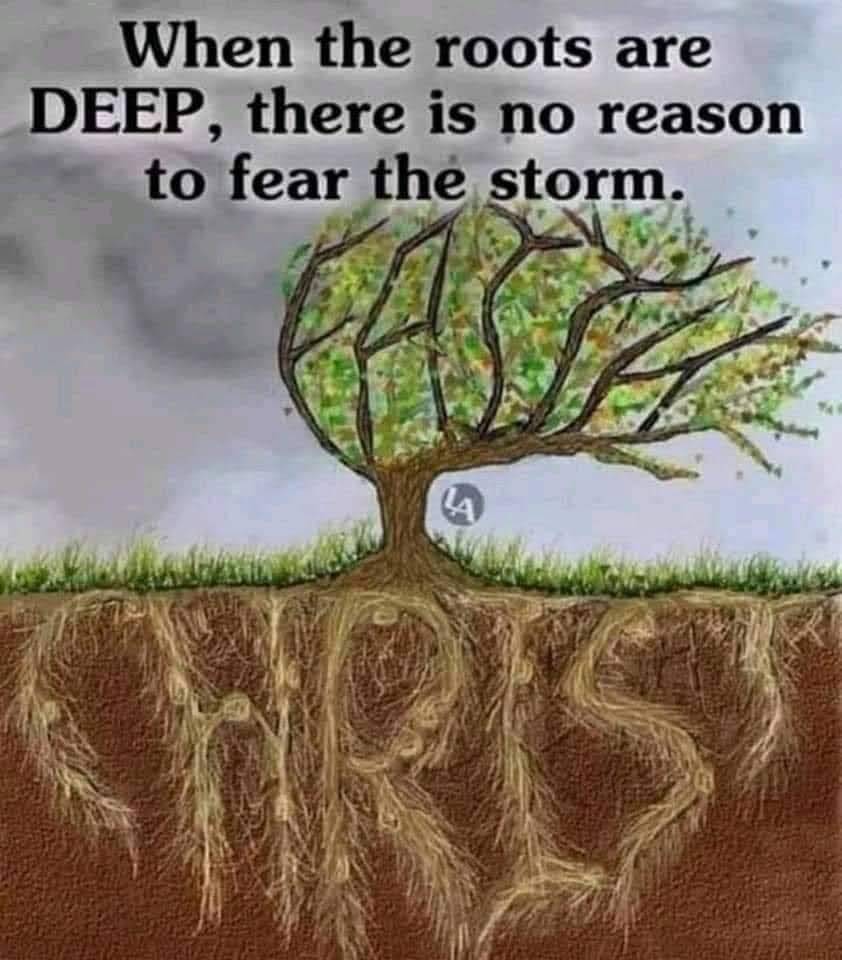 Once you are sincerely and deeply rooted in christ, nothing...not even the devil can uproot you. Chr...