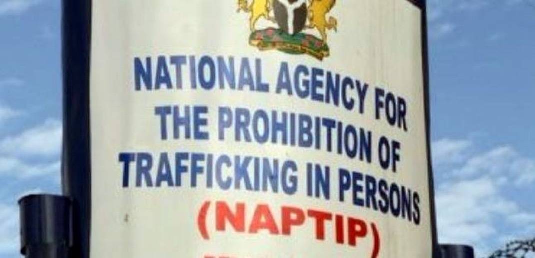 JUST IN: NAPTIP brings back 13-year-old sex trafficking victim from Burkina Faso