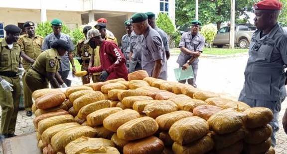 The National Drug Law Enforcement Agency, Kano Strategic Command, has intercepted and recovered 64 b...