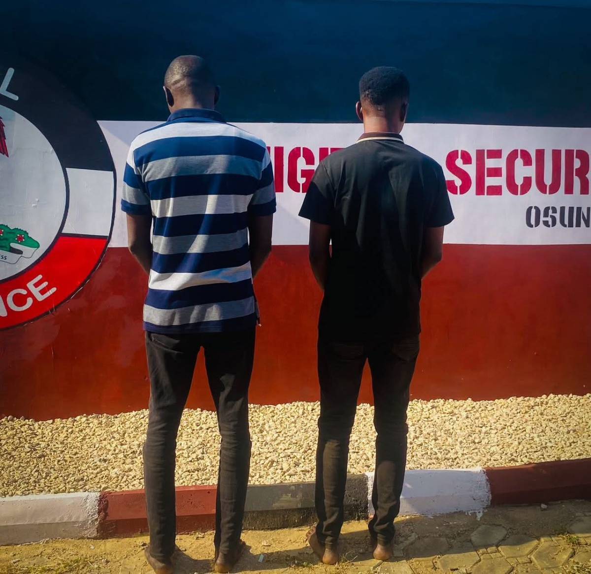 NSCDC arrests electrician and former IBEDC staff for meter tampering, illegal electricity vending in...