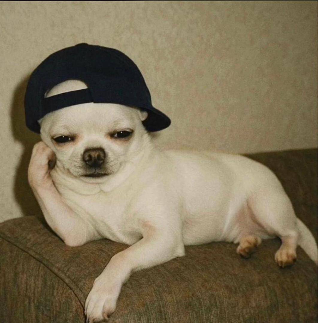 “Me on Friday evening after deciding I’m not picking any work calls till Monday.