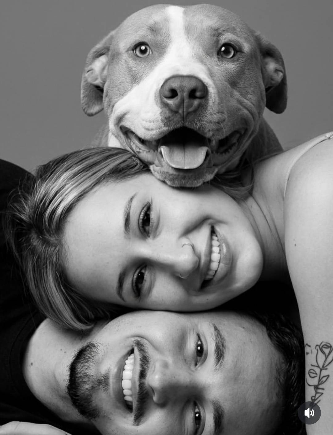 A dog doesn’t just join your home… it becomes your safe place without saying a word. #logopets