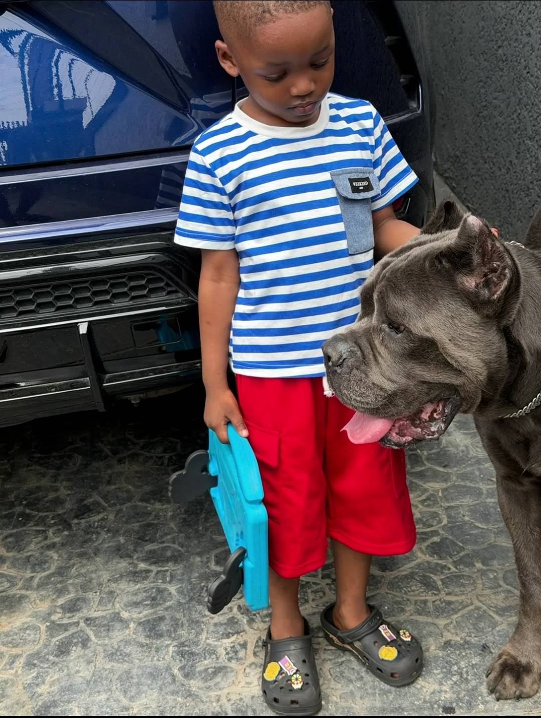 Good morning from this side 🥰🥰🥰. #logopets