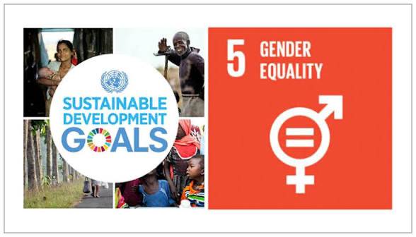 UN Highlights Women’s Role in SDGs.
The United Nations has stressed that women’s empowerment is cru...