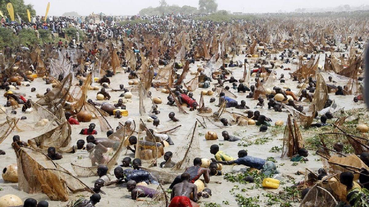 Argungu Fishing Festival 2026
Its origins as a peace-building initiative remain central — even toda...