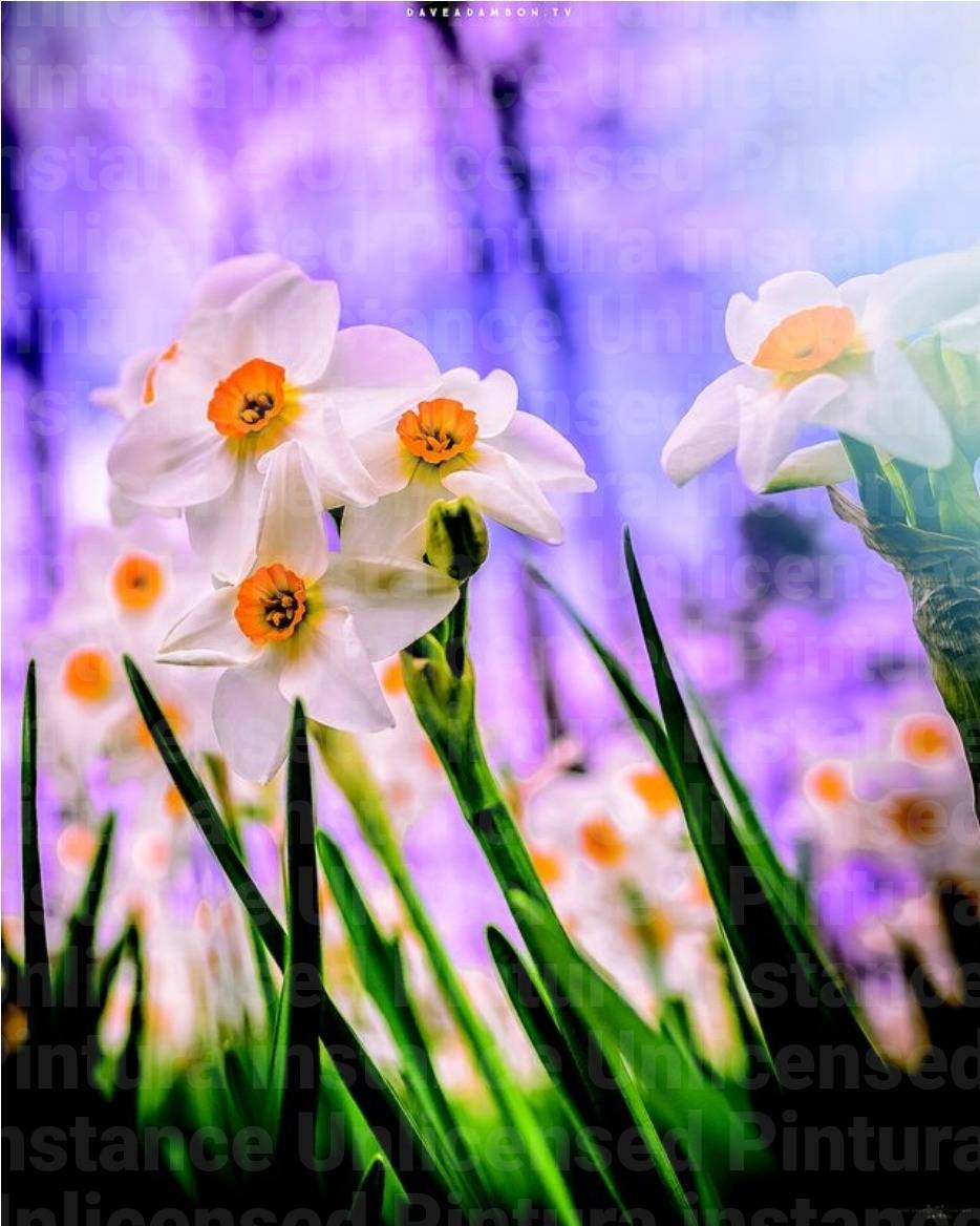 "One Spring about 2000 years ago, Passover, Unleavened Bread, and First Fruits landed in succession—...
