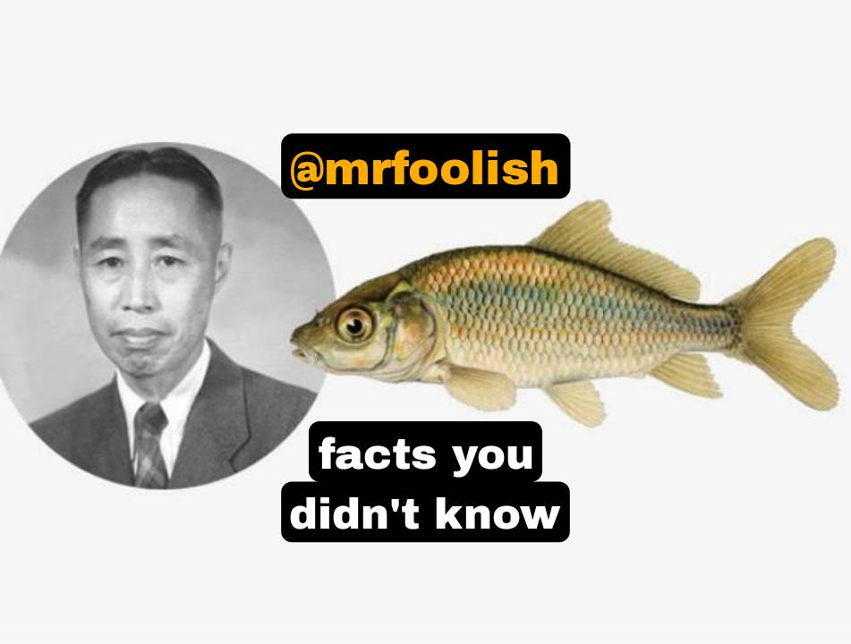 Dizhou Tong the man who first artificially cloned a fish was later forced to give up his research an...