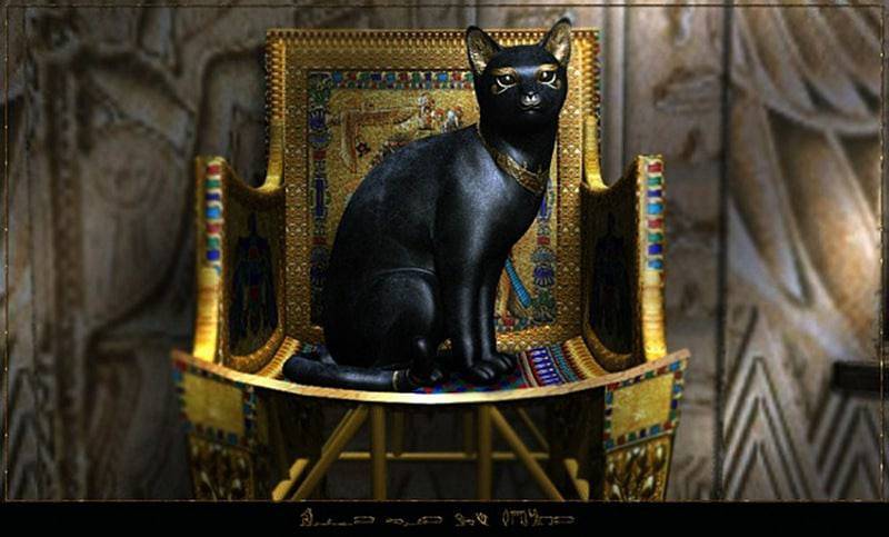 In ancient Egypt, cats were considered sacred. When a family's favorite cat died, the whole family w...