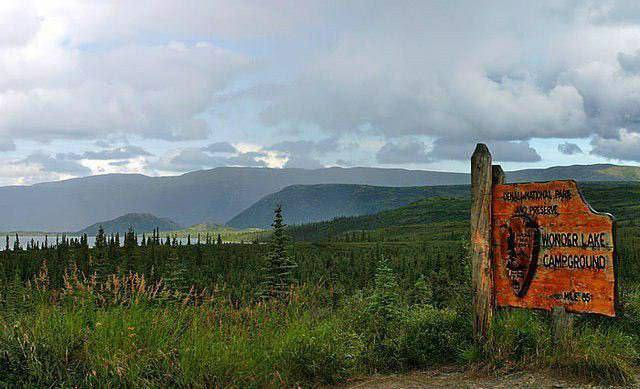 In Alaska, you can register on a special list and receive alerts when an edible animal is hit on the...