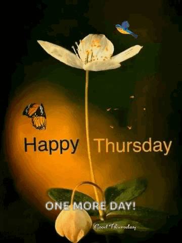#LekeeLekee #AfricanVoices
#motivation #trending
