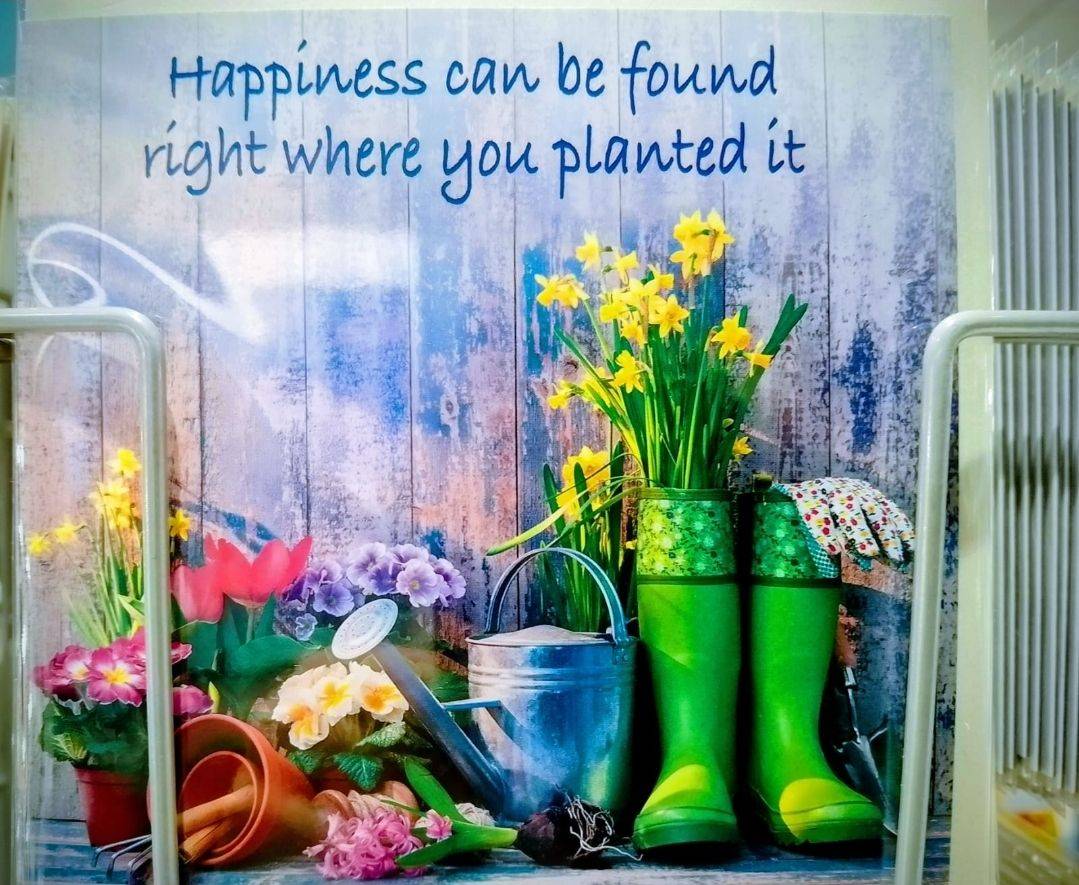 🌼 Sometimes joy isn’t something you chase—it’s something you grow.
A little colour, a little care...