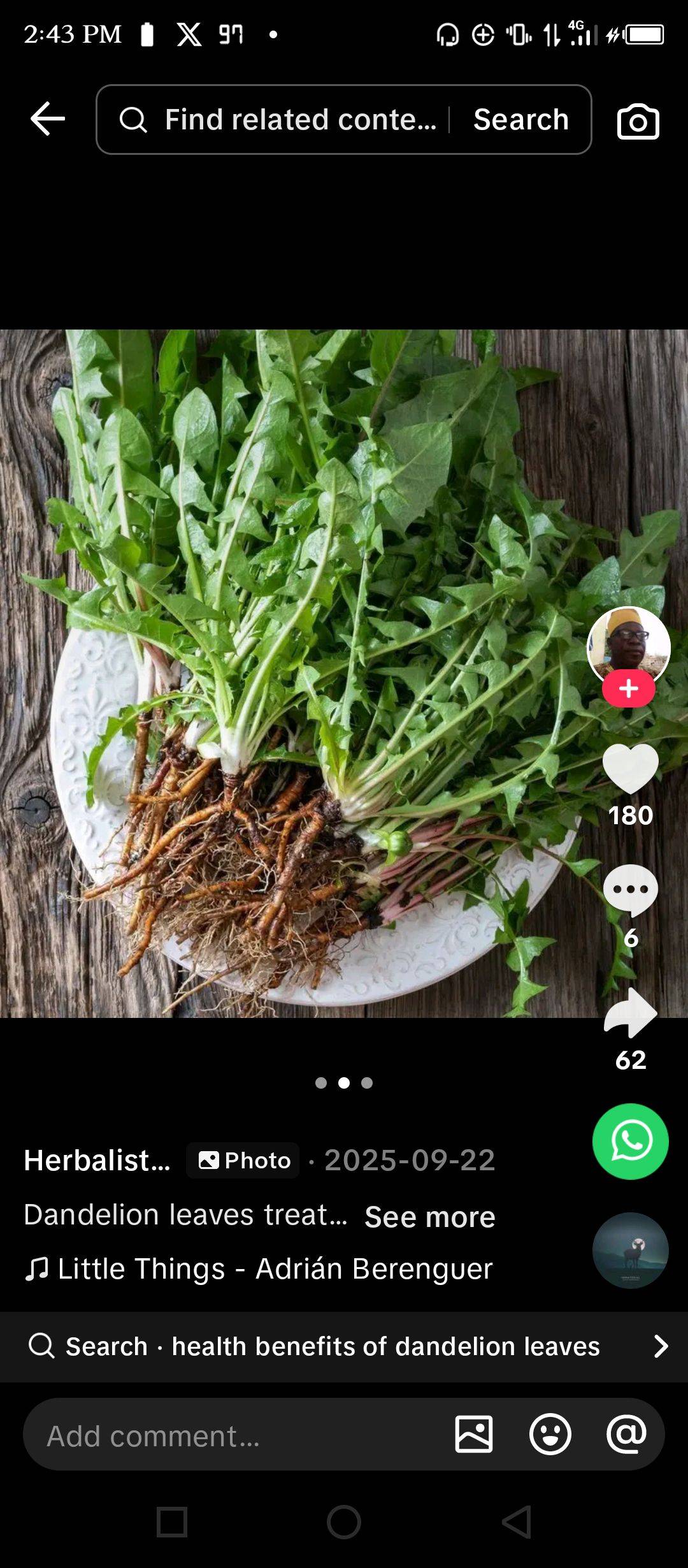 This plant come with powerful ๐ฟ nation healings. Dandelion. Boil and drink morning and evening