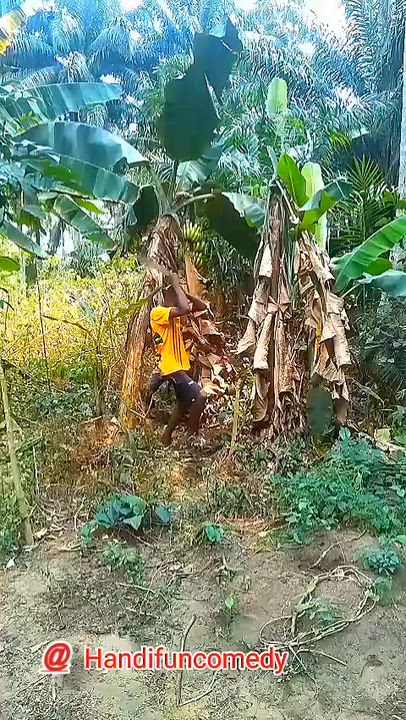 How to catch who worrying your property 🤣🤣🤣