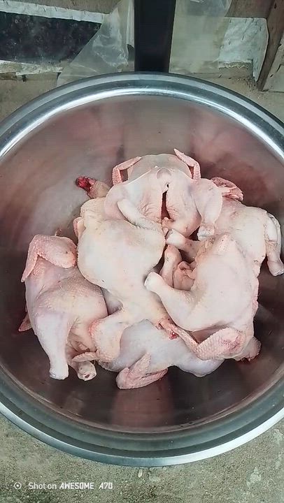 For process chicken 
07061256228