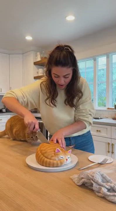 Cat 🐈 prank 😂😂😂 
#LekeeLekee #NaijaPride #Trending #Viral #TeamNigeria