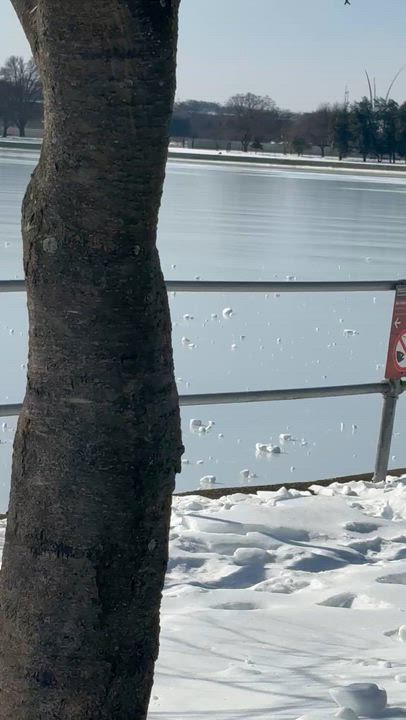Frozen River