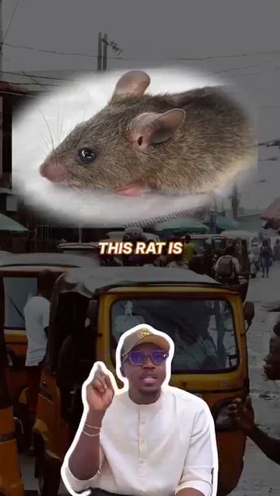 Health Alert