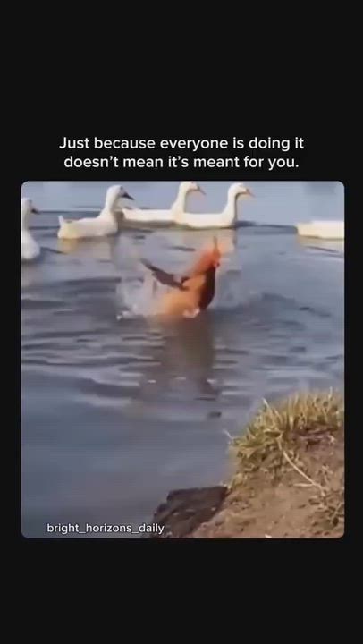 wHeN everyone’s quacking in sync...and You’re the hEn gasping for air, tHeN It’s your soul screaming...