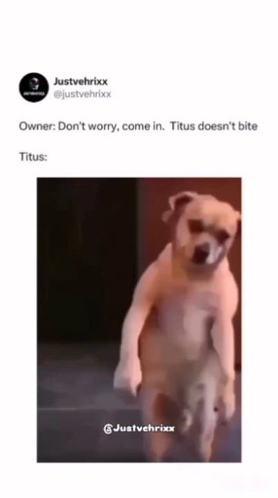 Make Titus no catch you oooo