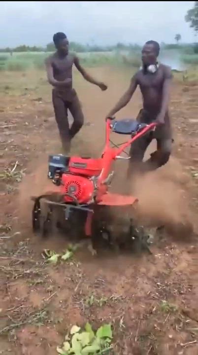 Farmers in the house, what do we call this ? #LekeeLekee #Trending #NaijaPride #Viral #osazuwaigbins