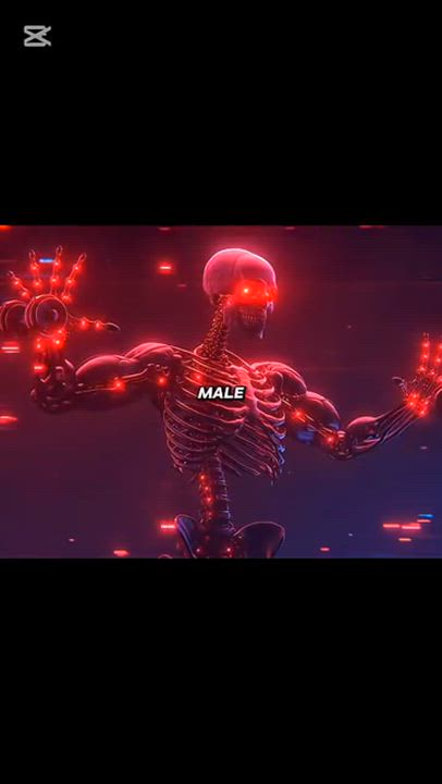 Would Women Be Stronger Than Men Without Testosterone?

#RacismIsAMentalCondition  #healerspath  #...
