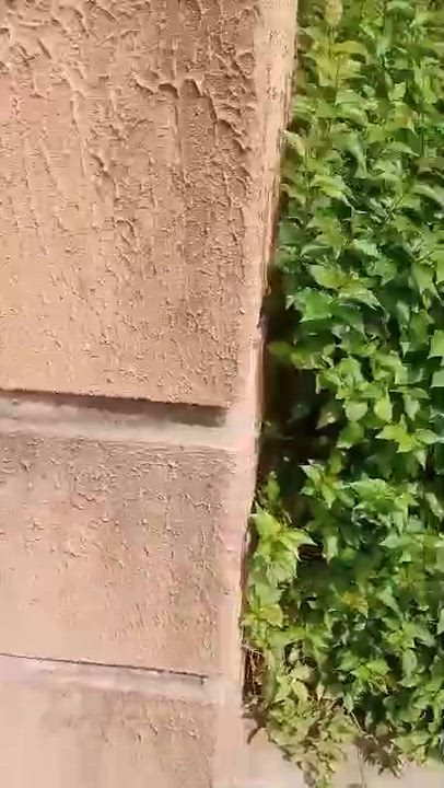 A 6 bedrm duplex on one and half plot of land with 3 bedroom flats up and down at the back. . 
Loca...