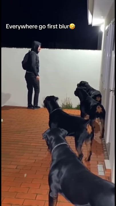What will you do if it was you in a corner