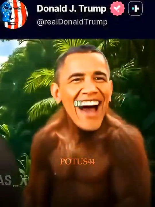 President Obama Responds To Strange Trump Post🥲 

#africanhistory #blackhistory #RacismIsAMentalC...