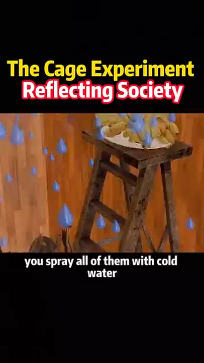 The Cage Experiment Reflecting Society #foryou 

#history #story #science #knowledge
#LekeeLekee...
