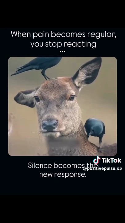 when pain becomes regular, you stop reacting. Silence becomes the new response....